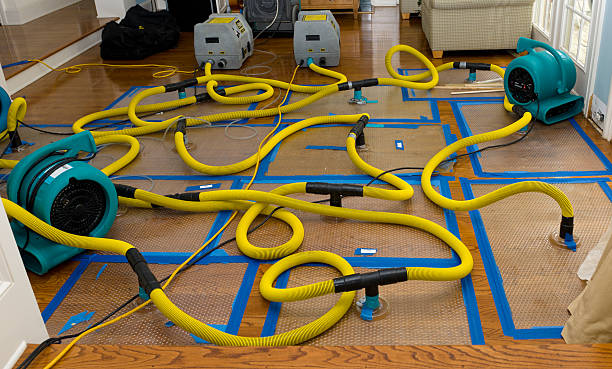 Professional Crawl Space Water Removal technician working in Laceys Spring, AL
